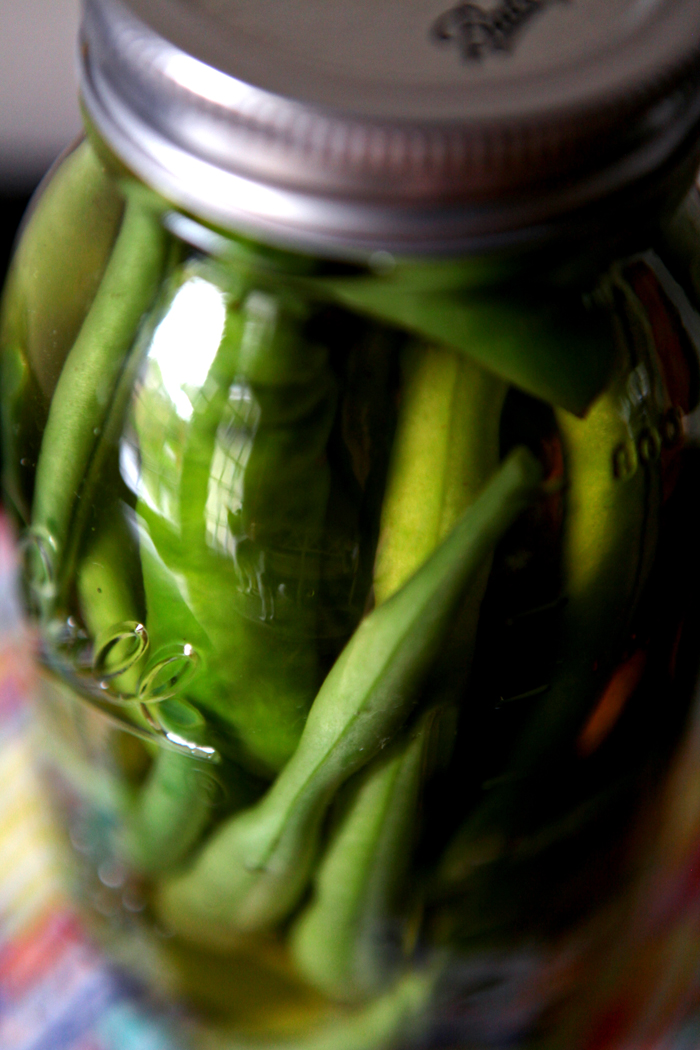 Pickled Green Beans // Erin Skinner from The Speckled Palate for My Cooking Spot