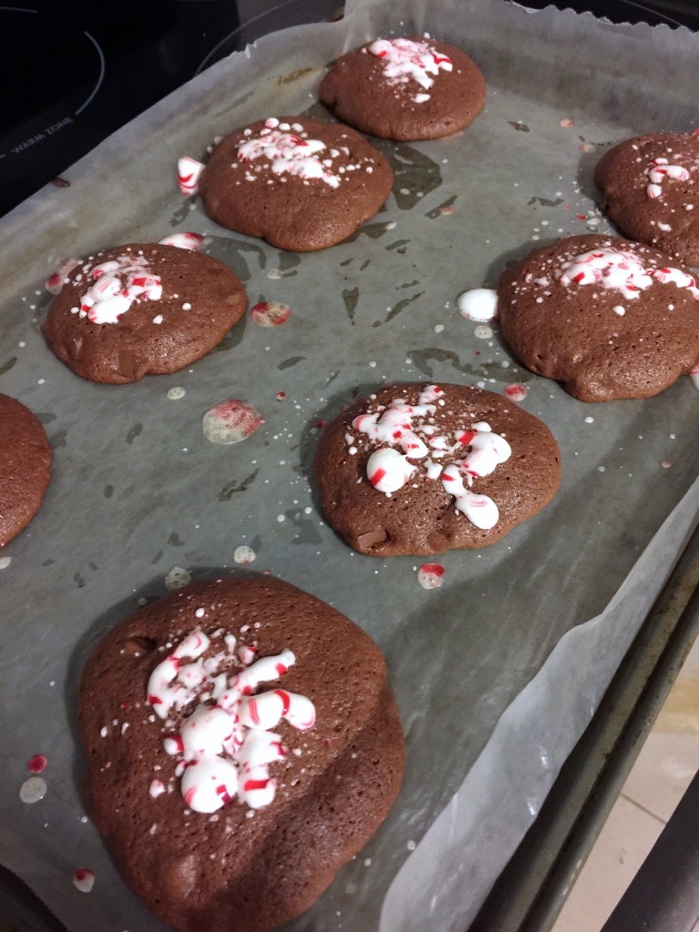chocolatepeppermintcookies2-1024x768
