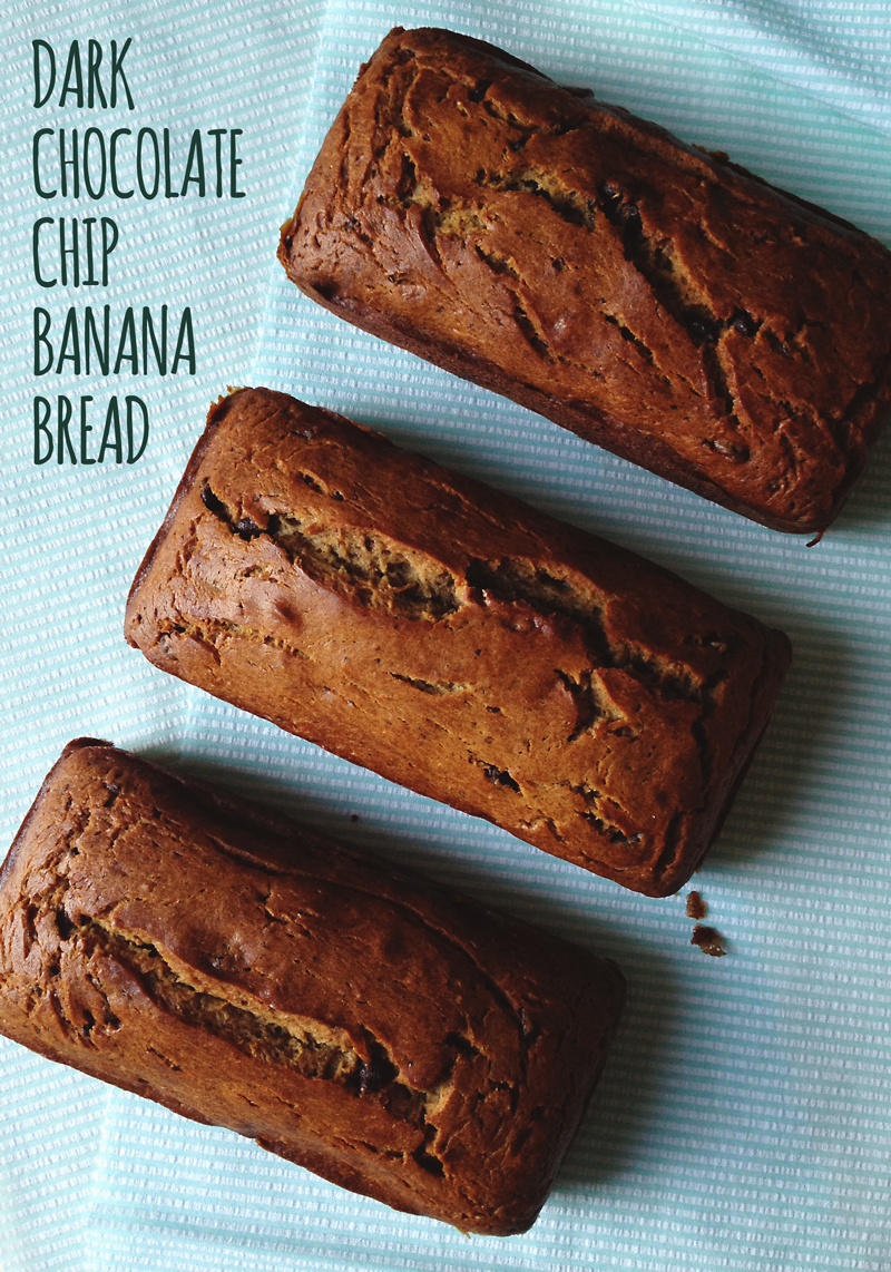 Dark Chocolate Chip Banana Bread | My Cooking Spot