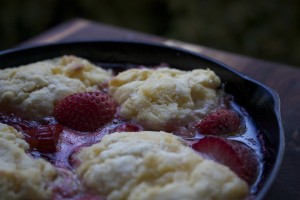 Strawberry Rhubarb Biscuit Bake