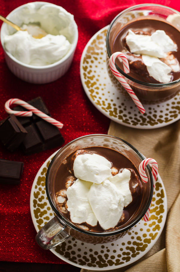 Peppermint French Hot Chocolate - rich & decadent & perfect for cold weather! | Get the recipe on MyCookingSpot.com!