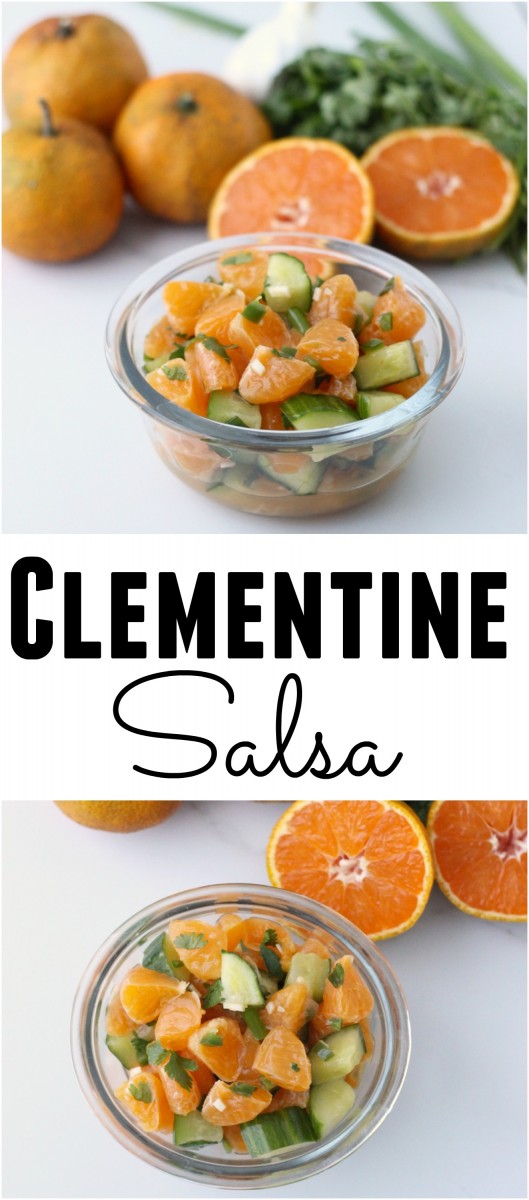 clementine salsa