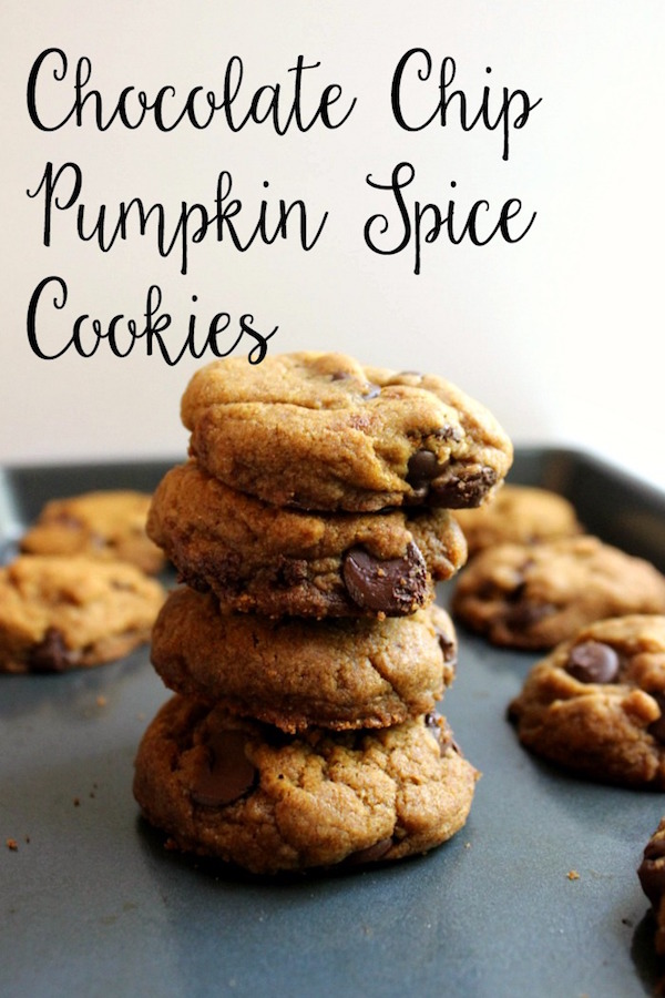 Chocolate Chip Pumpkin Spice Cookies | My Cooking Spot