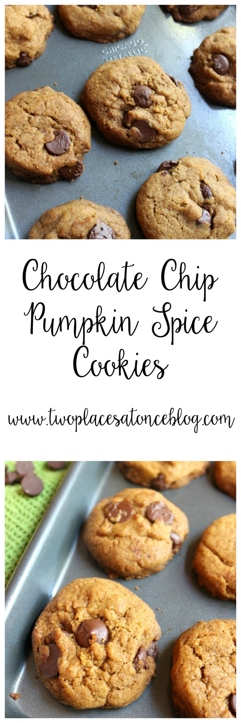 Chocolate Chip Pumpkin Spice Cookies | My Cooking Spot